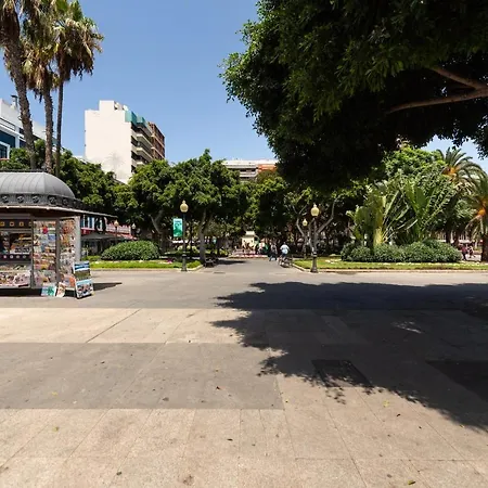 Aurora Las Palmas
